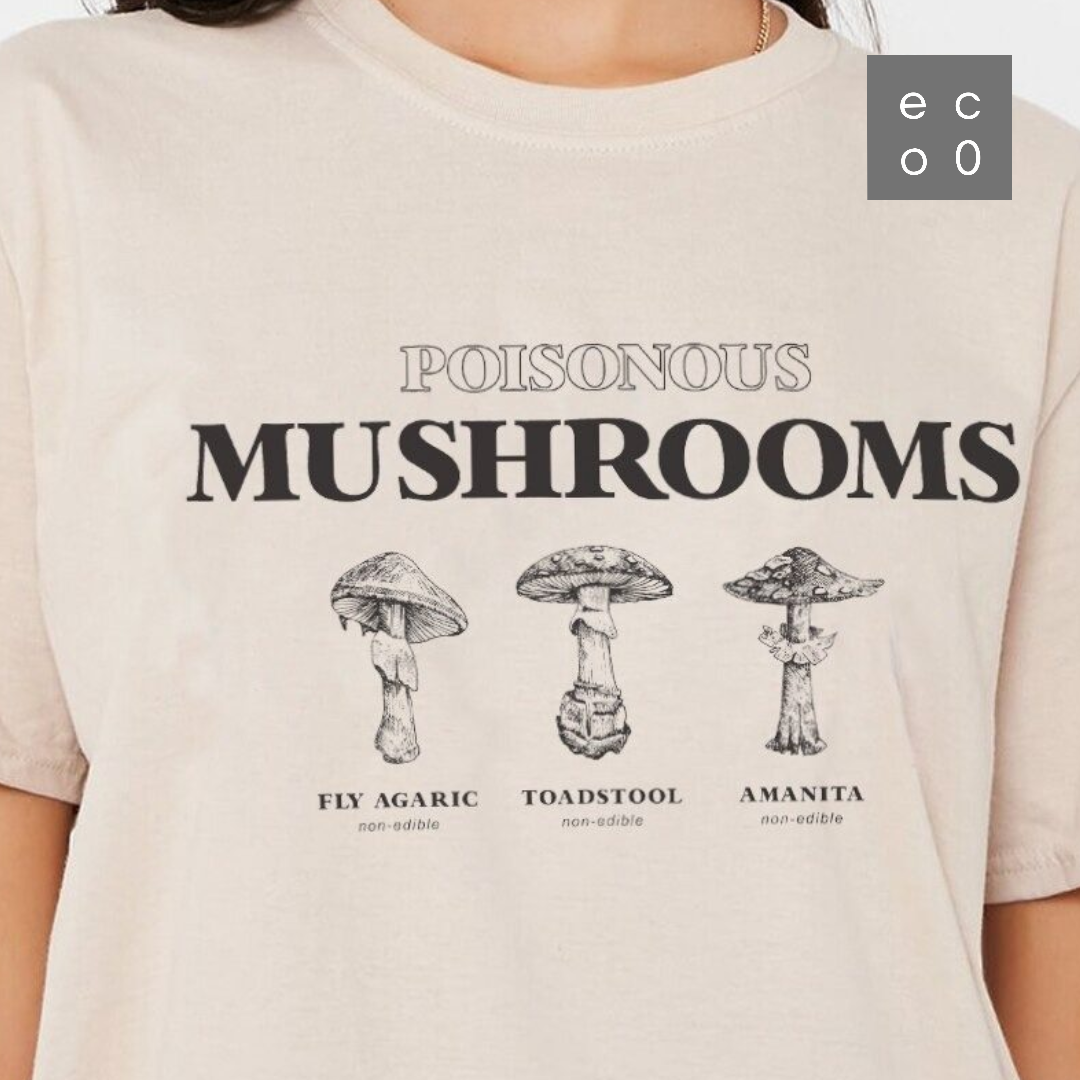 eco0 mushroom