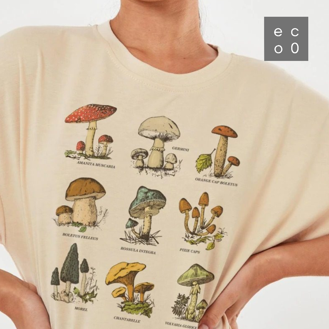 eco0 mushroom